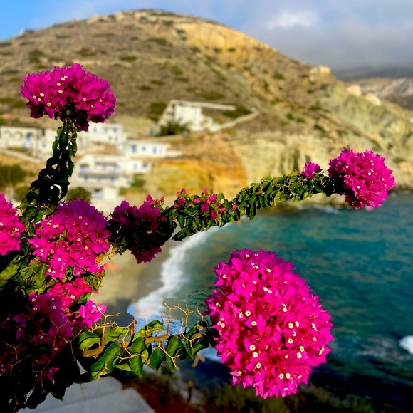 Out of town OPEN TO OFFERS MIGHT HAVE SHIP DELAY. CAN NEXT SHIP 11/10 - Picture 1 of 1